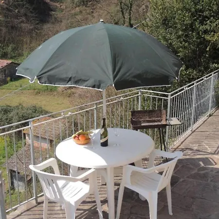 Casa Camelia *